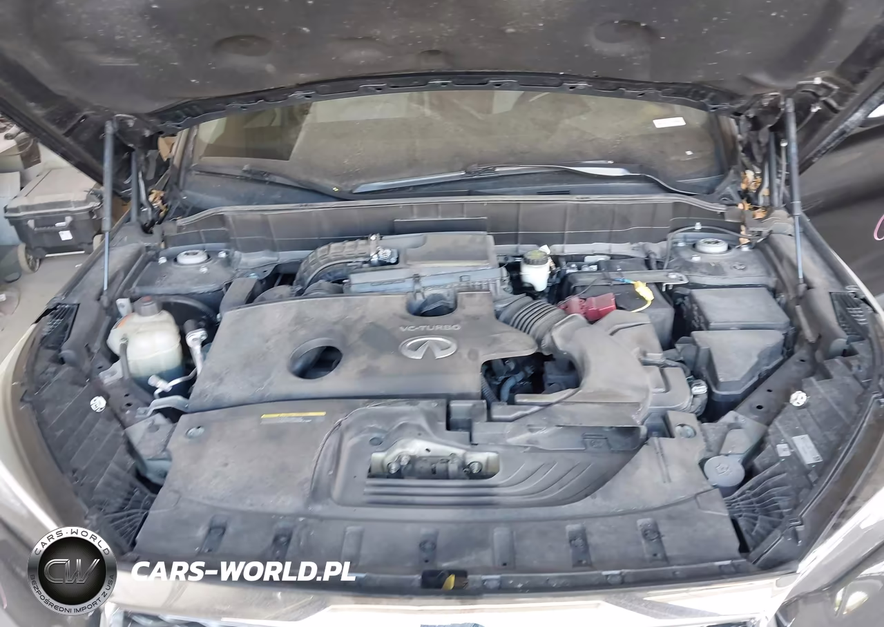 2019 Infiniti Qx50 Essential VIN:3PCAJ5M35KF103244 - 10