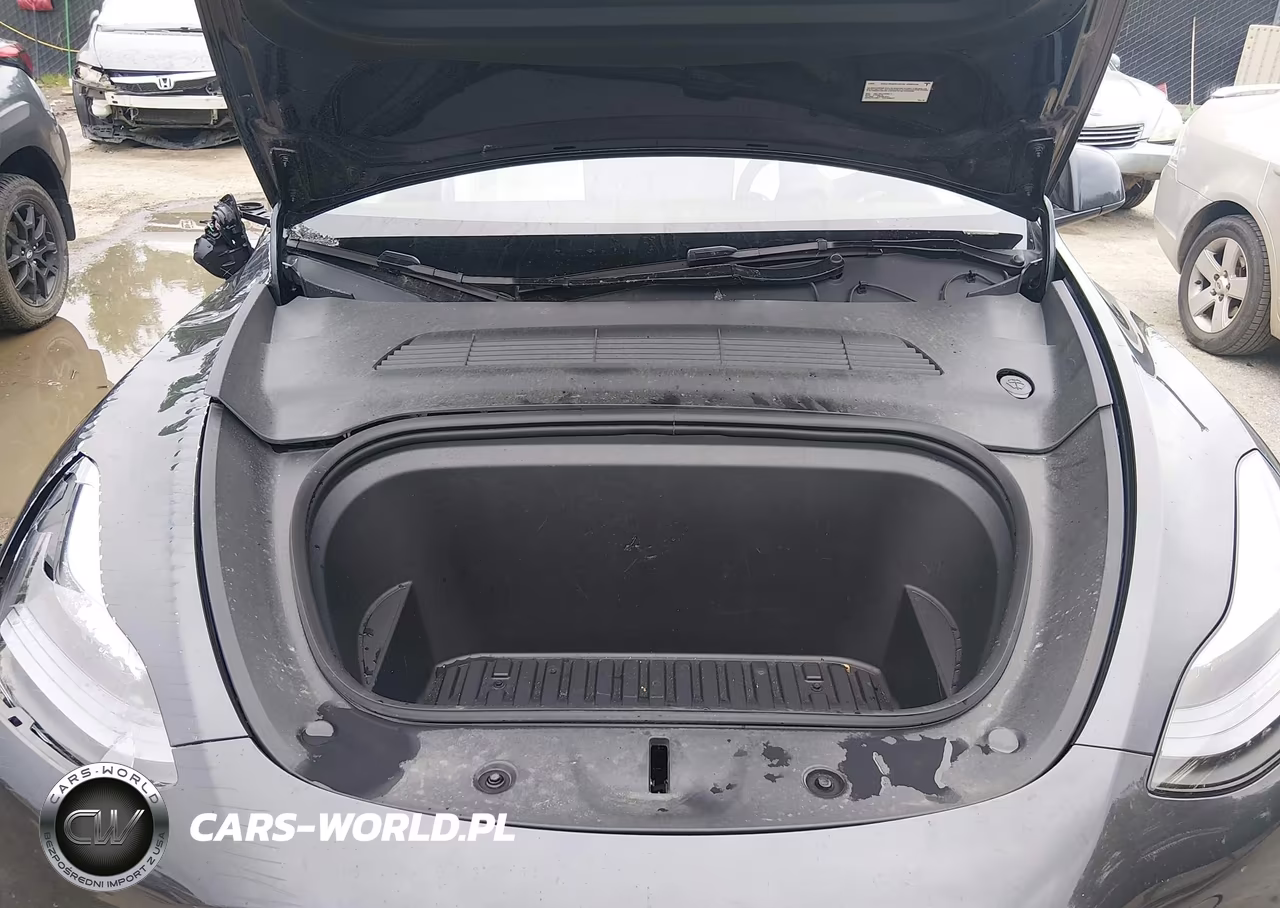 2025 Tesla Model Y Long Range Dual Motor All-Wheel Drive VIN:7SAYGAEE2SF216660 - 10