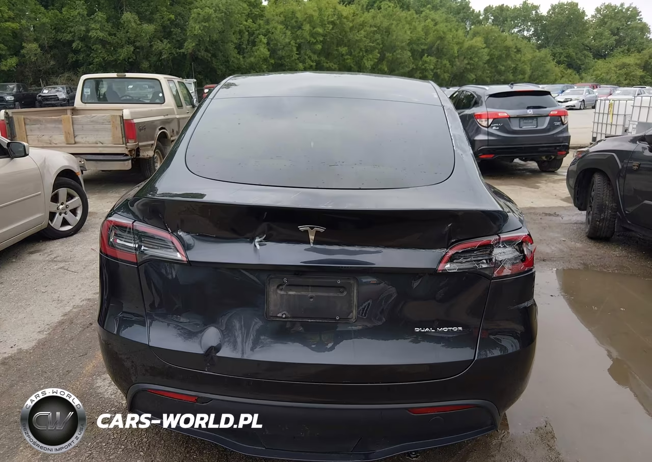2025 Tesla Model Y Long Range Dual Motor All-Wheel Drive VIN:7SAYGAEE2SF216660 - 16