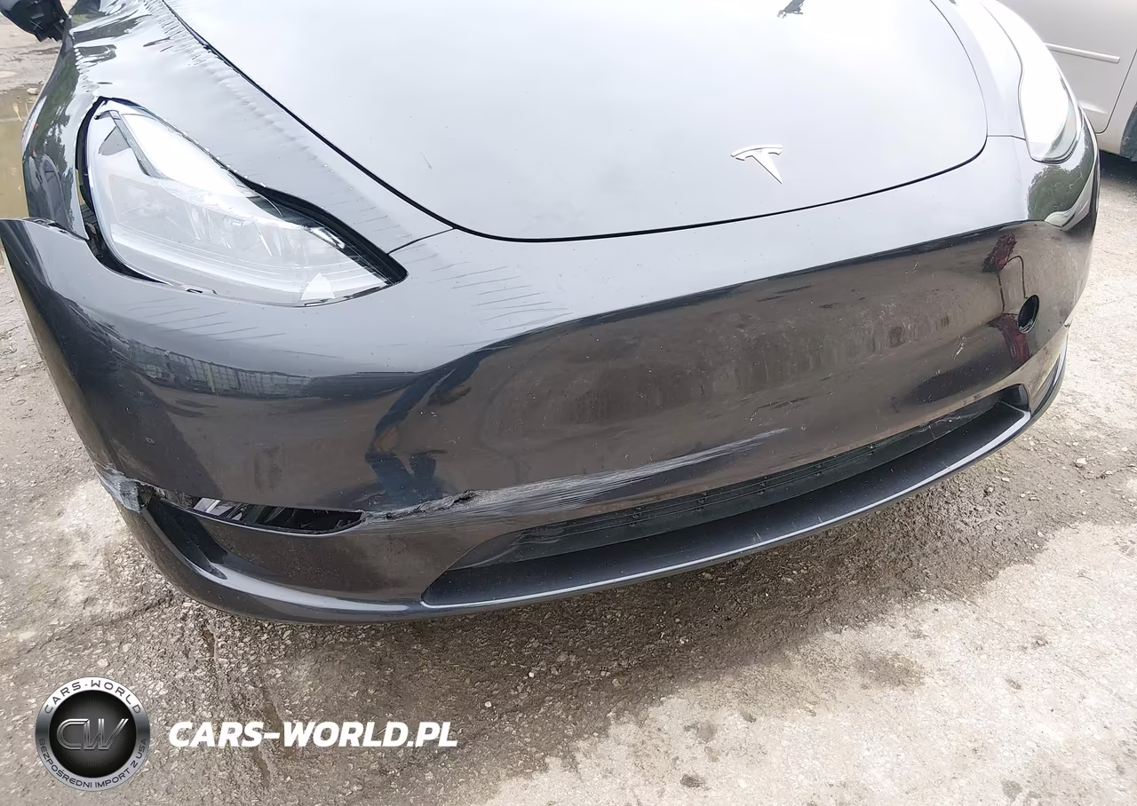2025 Tesla Model Y Long Range Dual Motor All-Wheel Drive VIN:7SAYGAEE2SF216660 - 19