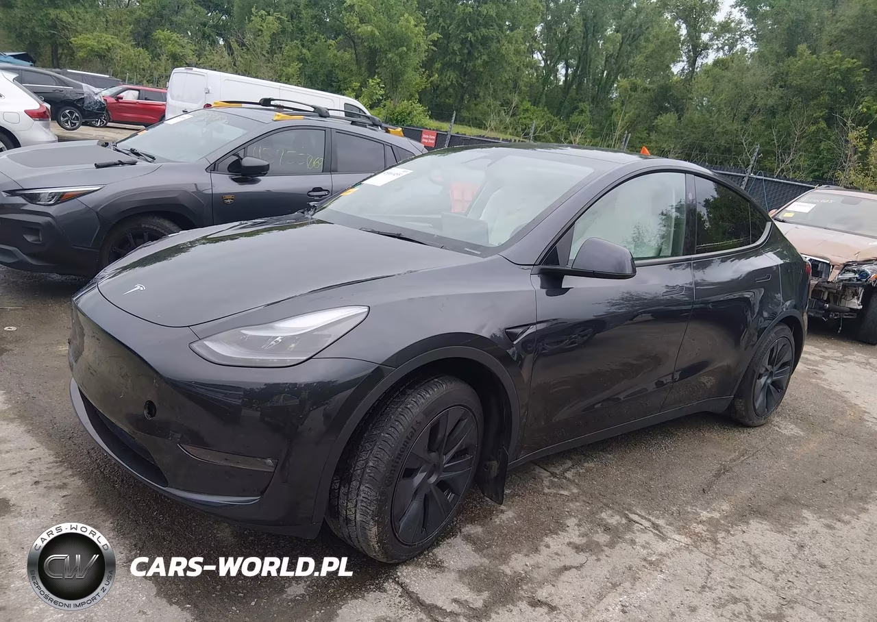 2025 Tesla Model Y Long Range Dual Motor All-Wheel Drive VIN:7SAYGAEE2SF216660 - 2