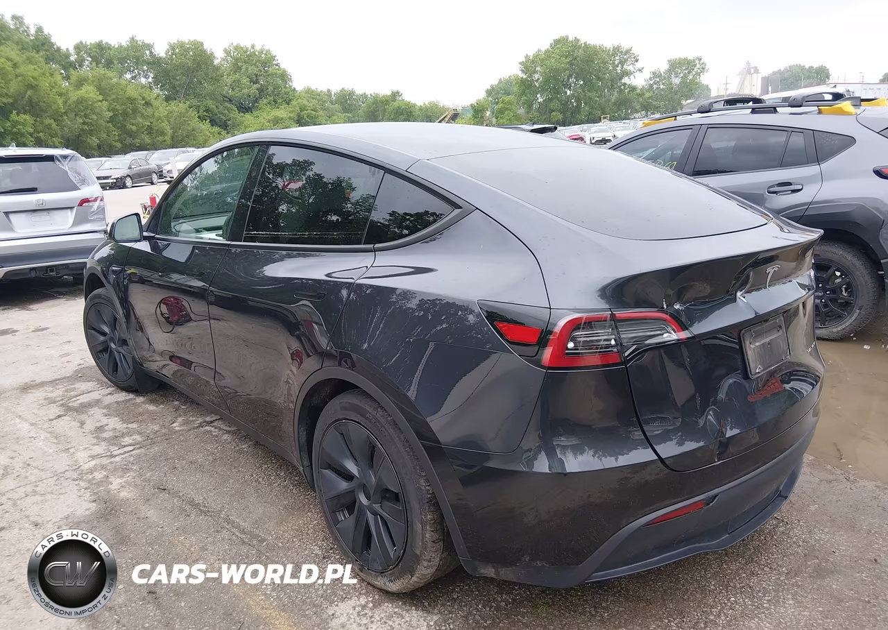 2025 Tesla Model Y Long Range Dual Motor All-Wheel Drive VIN:7SAYGAEE2SF216660 - 3