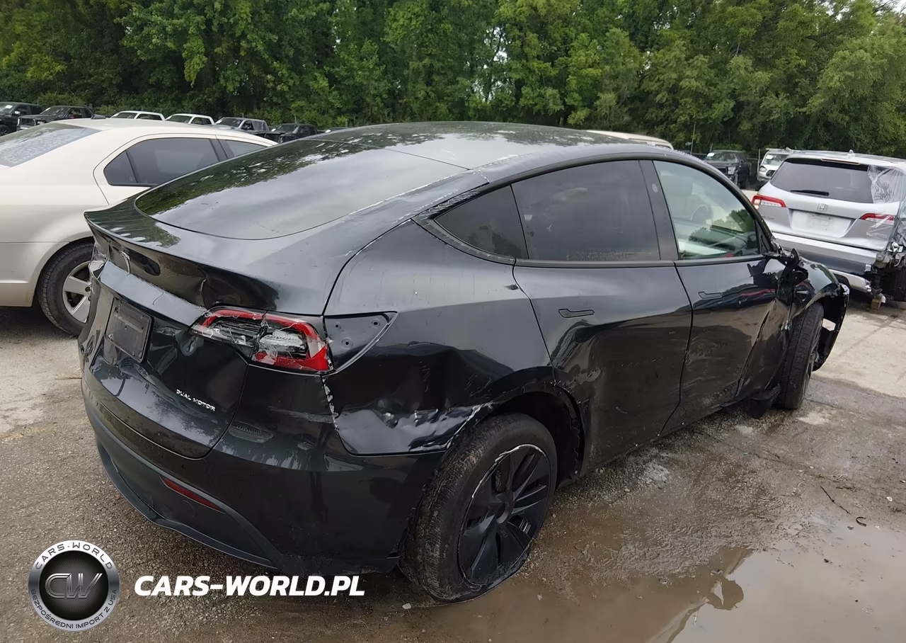 2025 Tesla Model Y Long Range Dual Motor All-Wheel Drive VIN:7SAYGAEE2SF216660 - 4