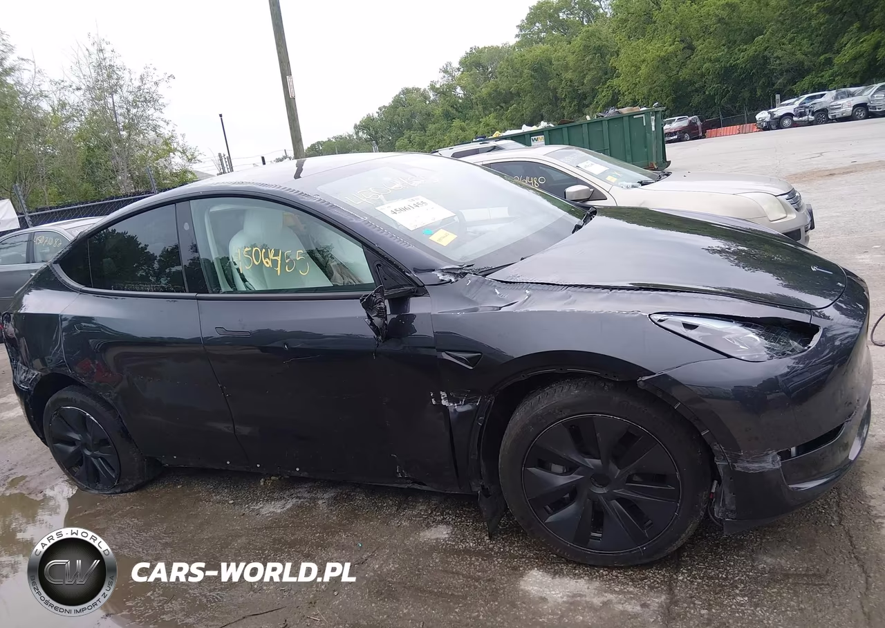 2025 Tesla Model Y Long Range Dual Motor All-Wheel Drive VIN:7SAYGAEE2SF216660 - 6