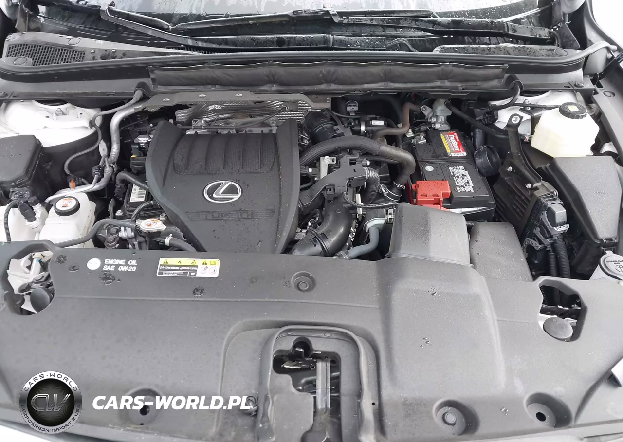2024 Lexus Rx 350 Premium Plus VIN:2T2BAMCA3RC044106 - 10