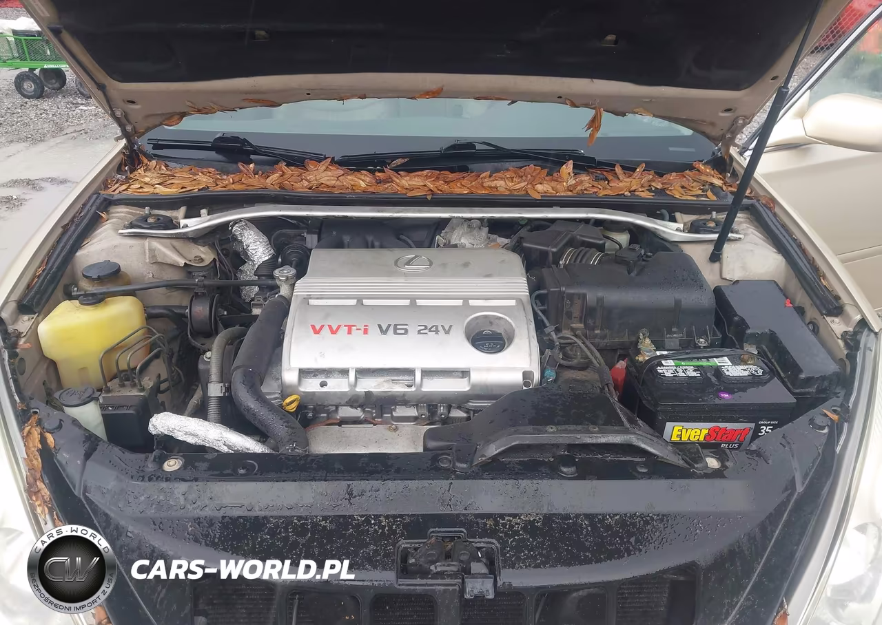 2002 Lexus Es 300 VIN:JTHBF30G925022508 - 10