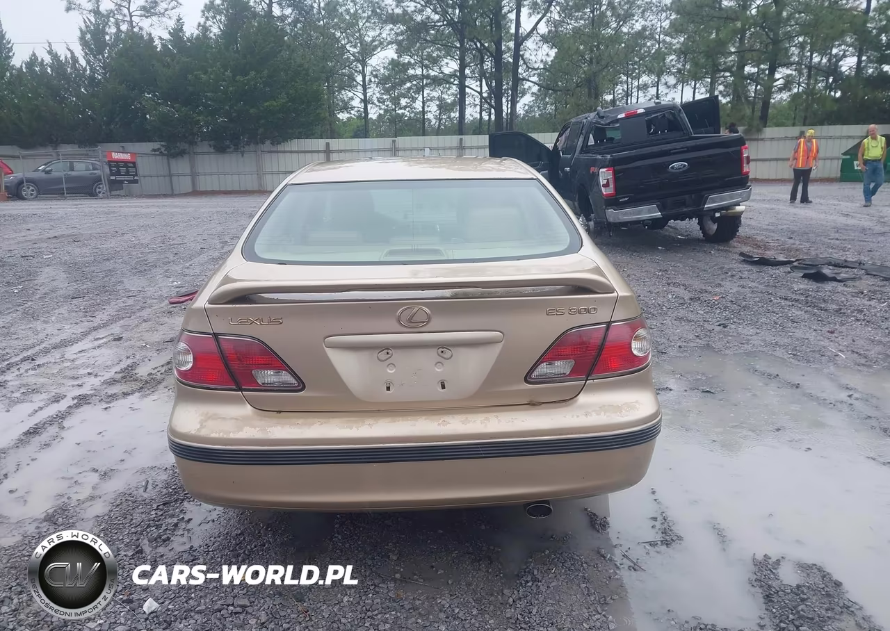 2002 Lexus Es 300 VIN:JTHBF30G925022508 - 16