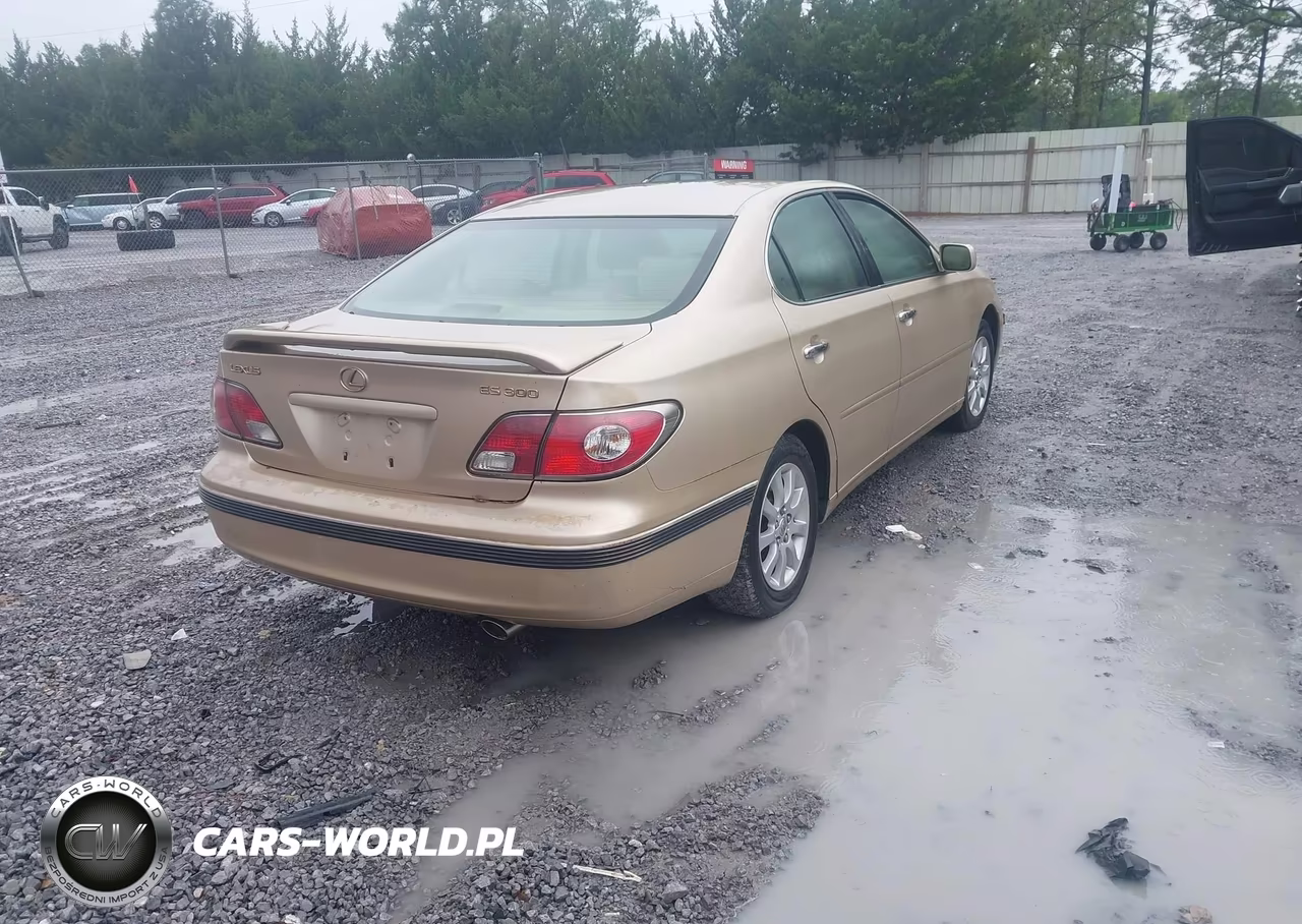 2002 Lexus Es 300 VIN:JTHBF30G925022508 - 4