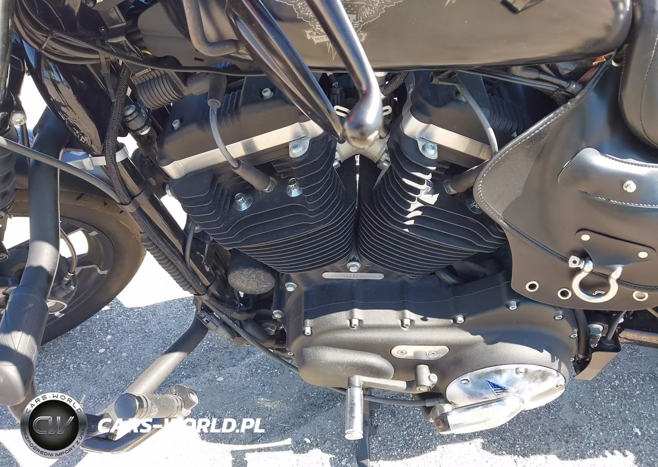 2017 Harley-Davidson Xl883 Iron 883 VIN:1HD4LE212HC412991 - 9