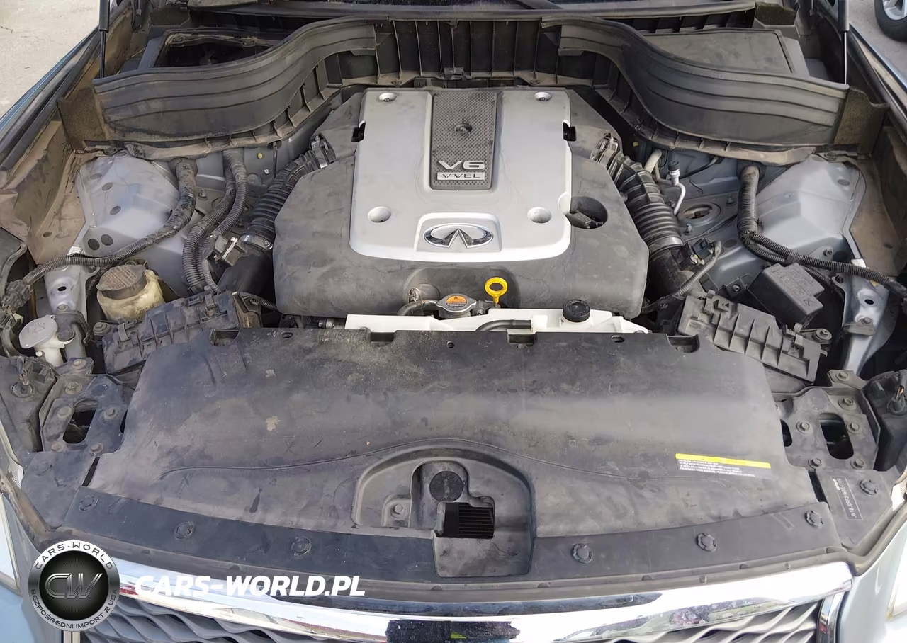 2017 Infiniti Qx50 VIN:JN1BJ0RP3HM384109 - 10