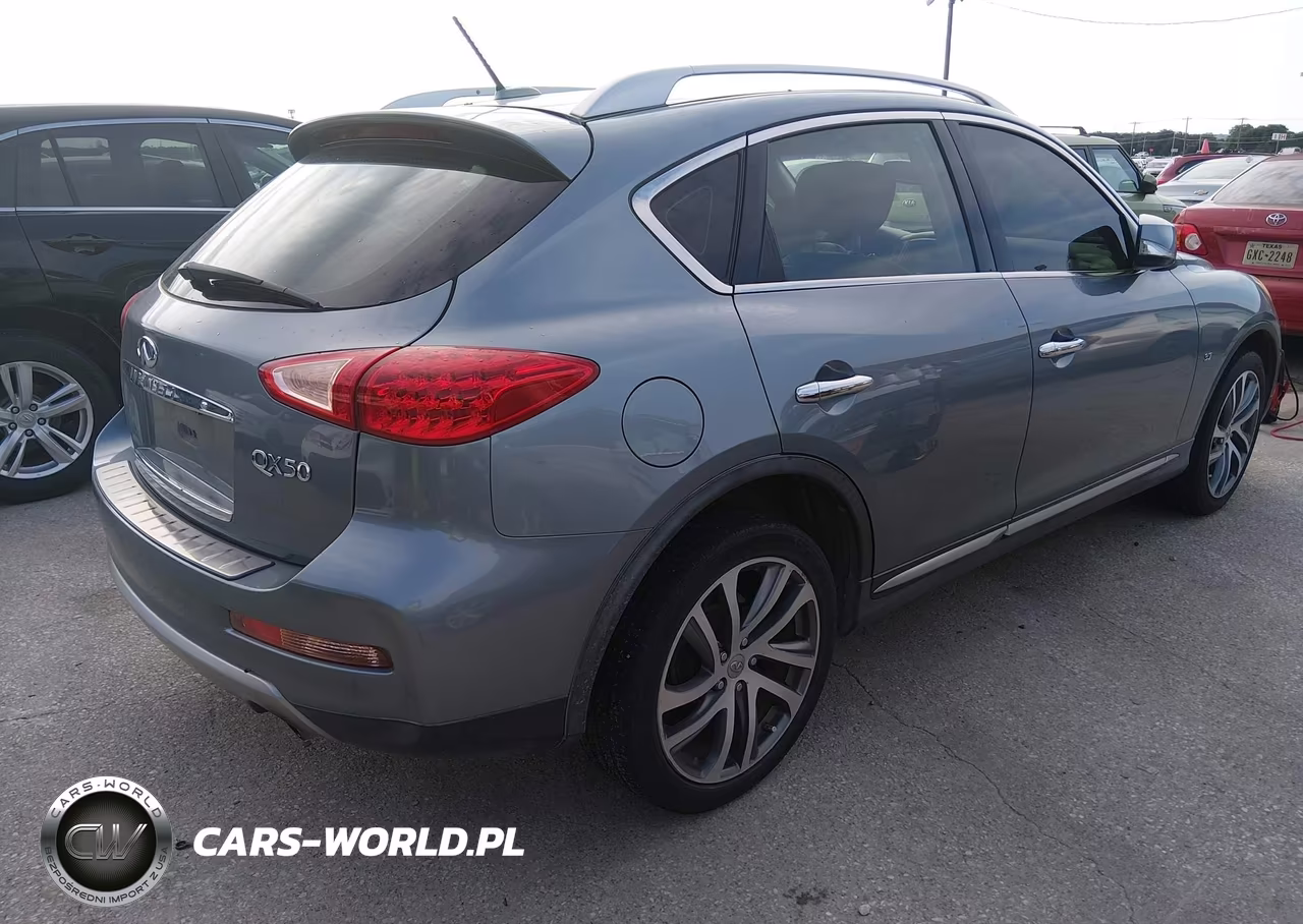 2017 Infiniti Qx50 VIN:JN1BJ0RP3HM384109 - 4