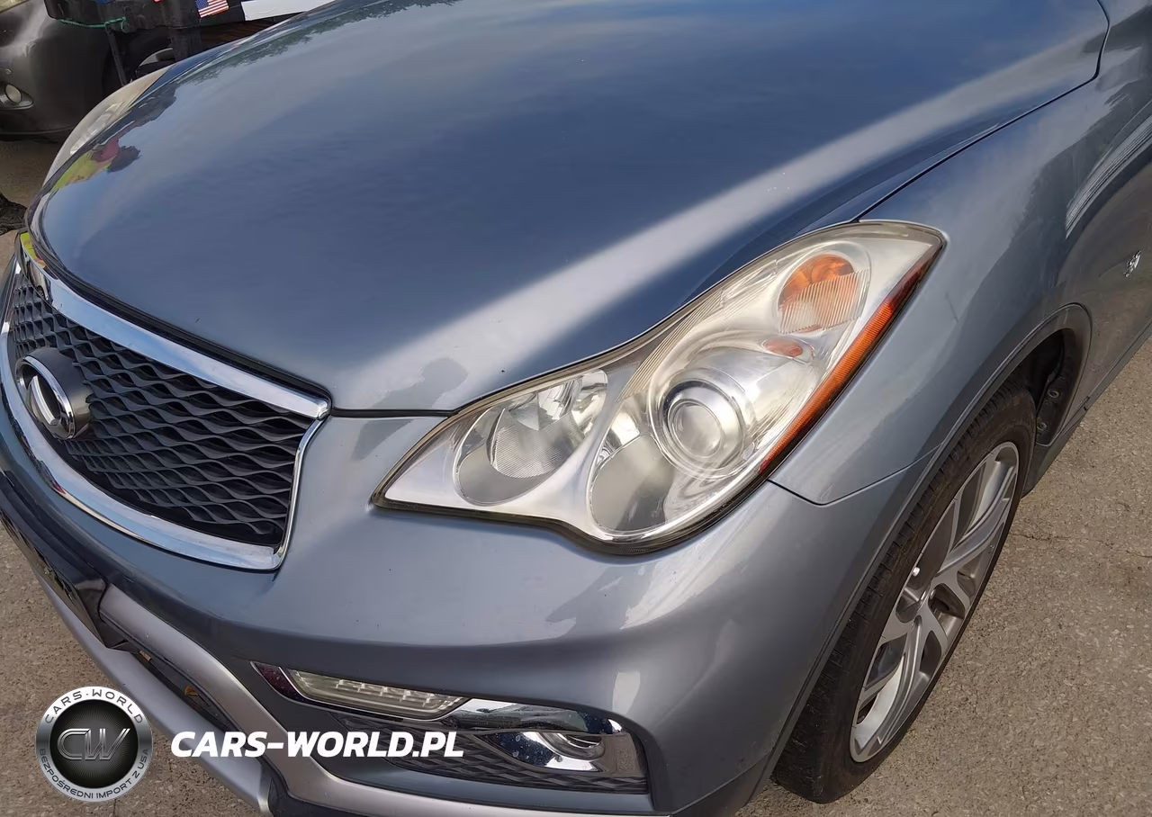 2017 Infiniti Qx50 VIN:JN1BJ0RP3HM384109 - 6