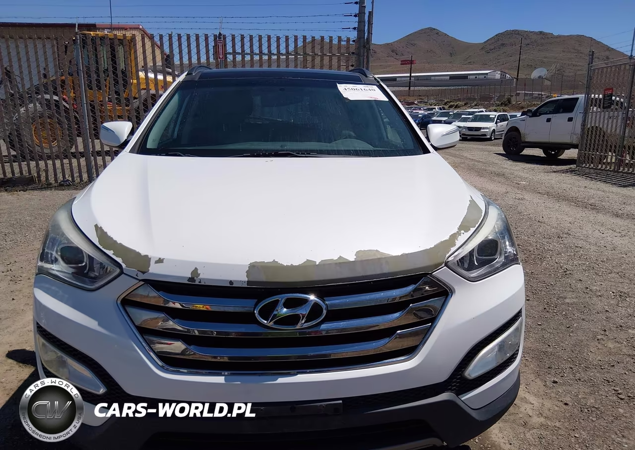 2014 Hyundai Santa Fe Sport 2.0L Turbo VIN:5XYZW3LA5EG229982 - 12