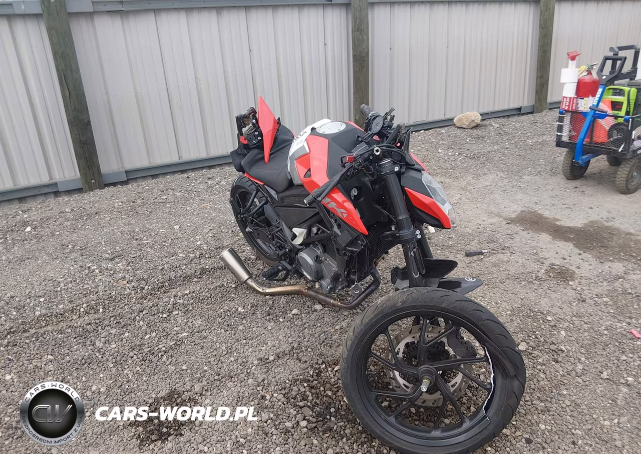 2025 Cf Moto 300Nk – zdjęcie 1 z 13