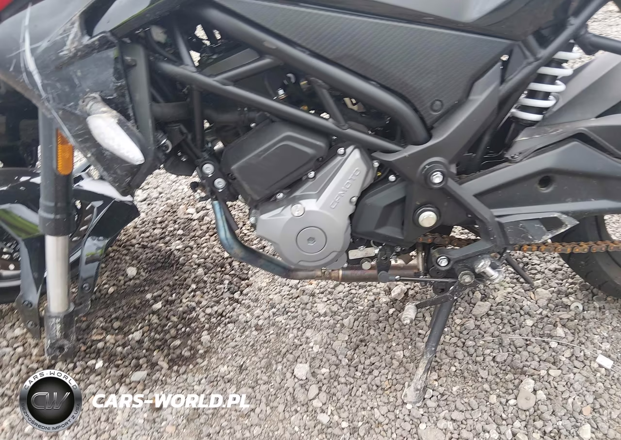 2025 Cf Moto 300Nk VIN:LCEPDPL14S6001507 - 9