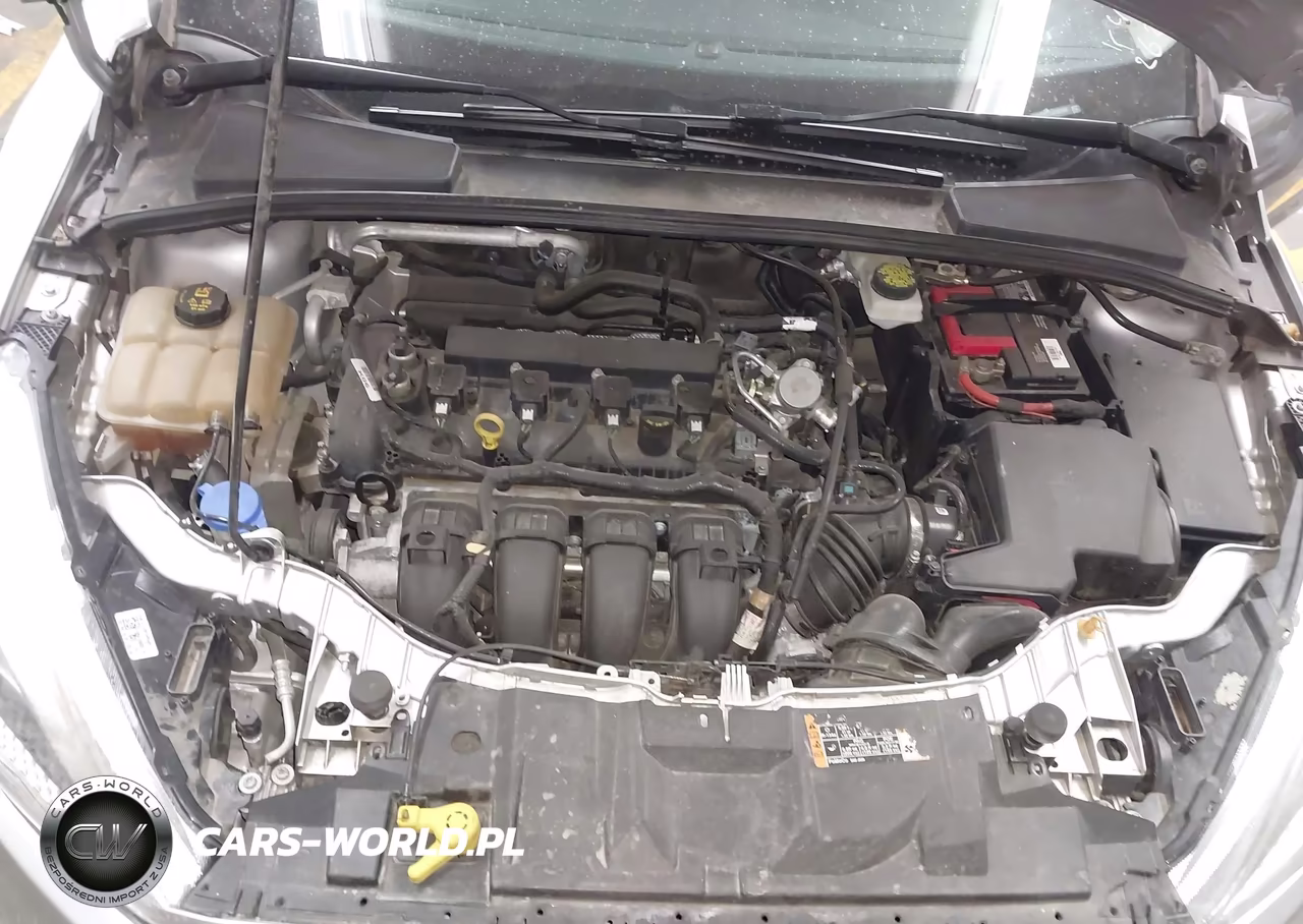 2018 Ford Focus Se VIN:1FADP3K27JL262469 - 10