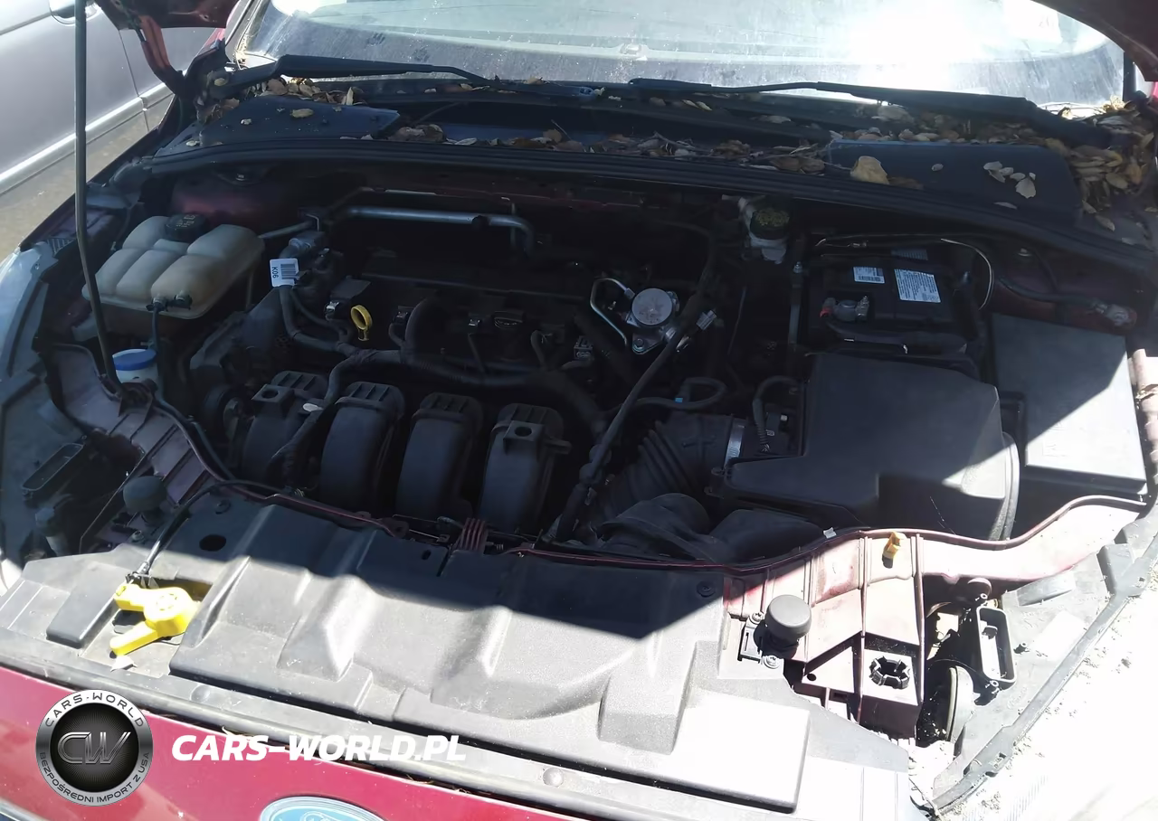 2015 Ford Focus Se VIN:1FADP3K26FL302712 - 10