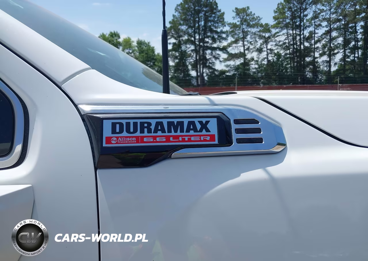 2025 GMC Sierra 3500Hd Denali VIN:1GT4UWEYXSF275642 - 19