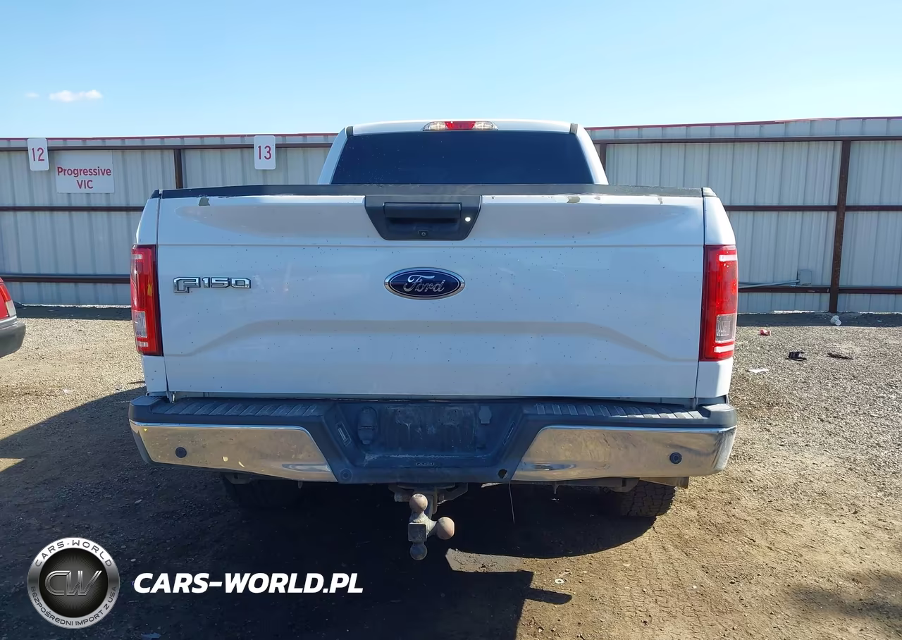 2017 Ford F-150 Xlt VIN:1FTFX1EF8HKD03259 - 16