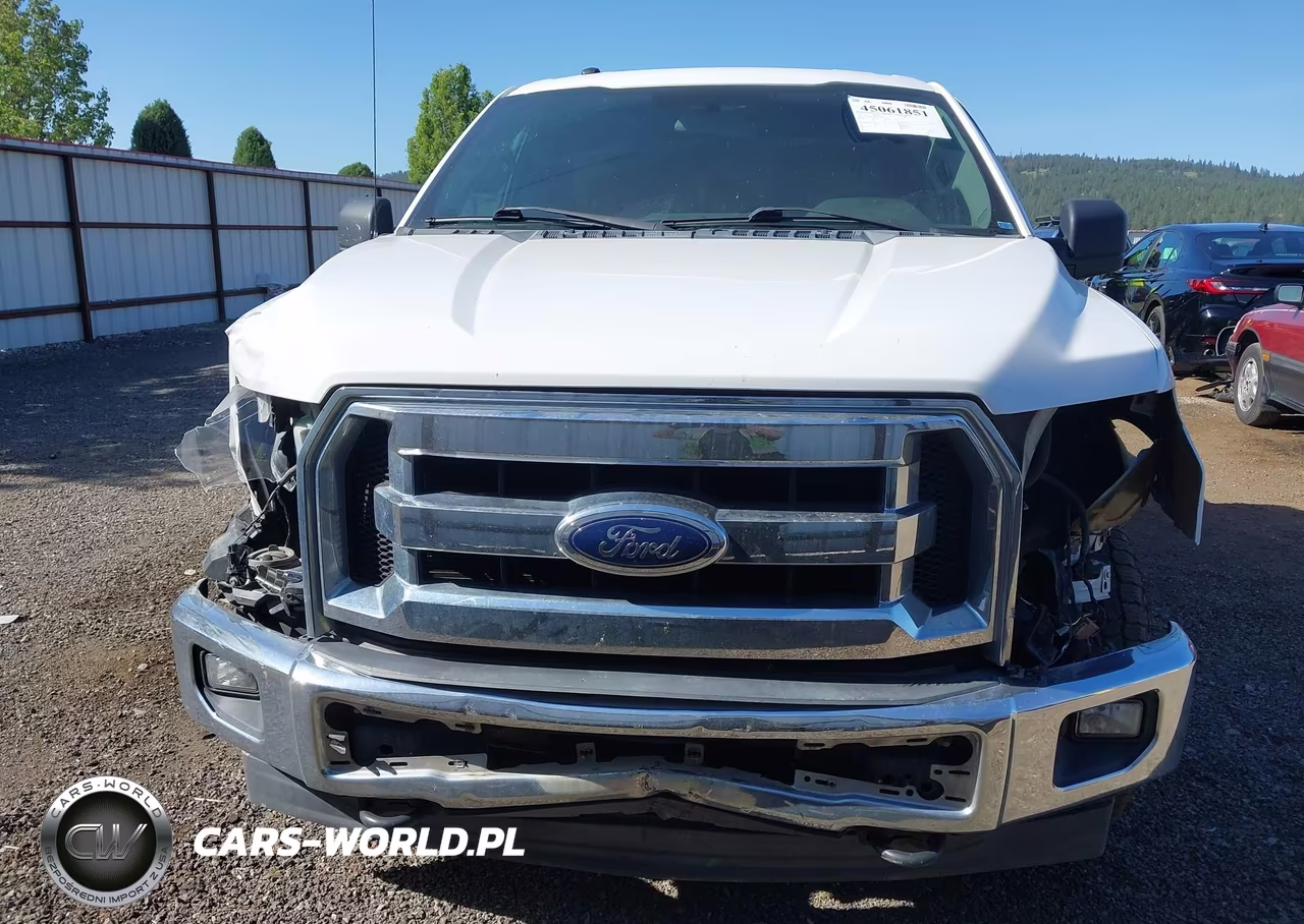 2017 Ford F-150 Xlt VIN:1FTFX1EF8HKD03259 - 6