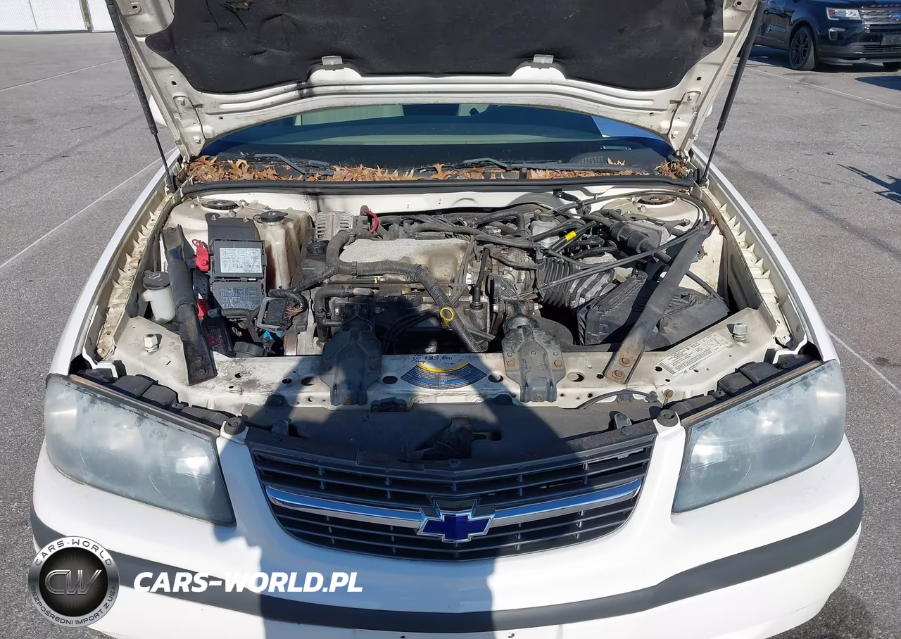2004 Chevrolet Impala VIN:2G1WF52E249146614 - 10