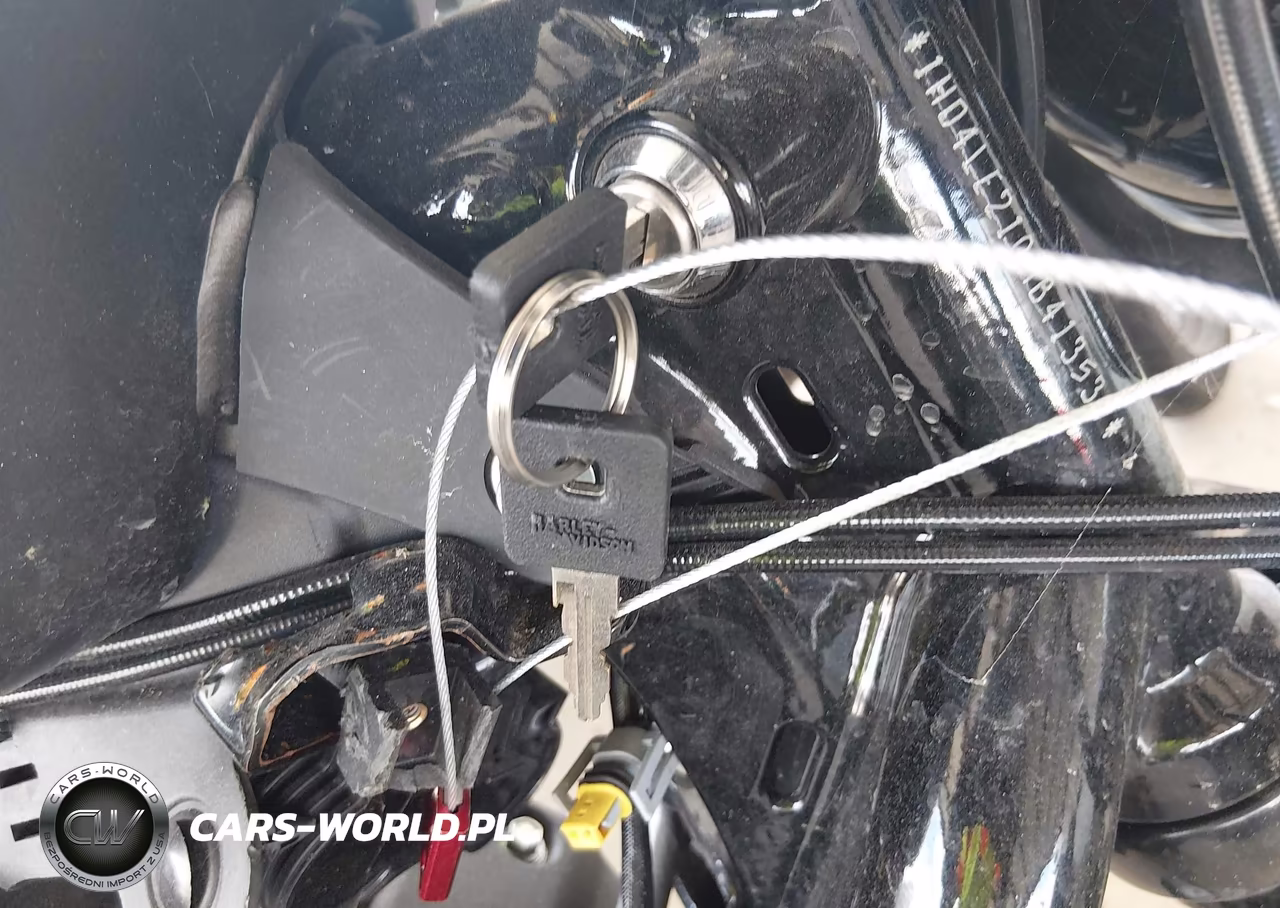 2021 Harley-Davidson Xl883 N VIN:1HD4LE210MB413539 - 11