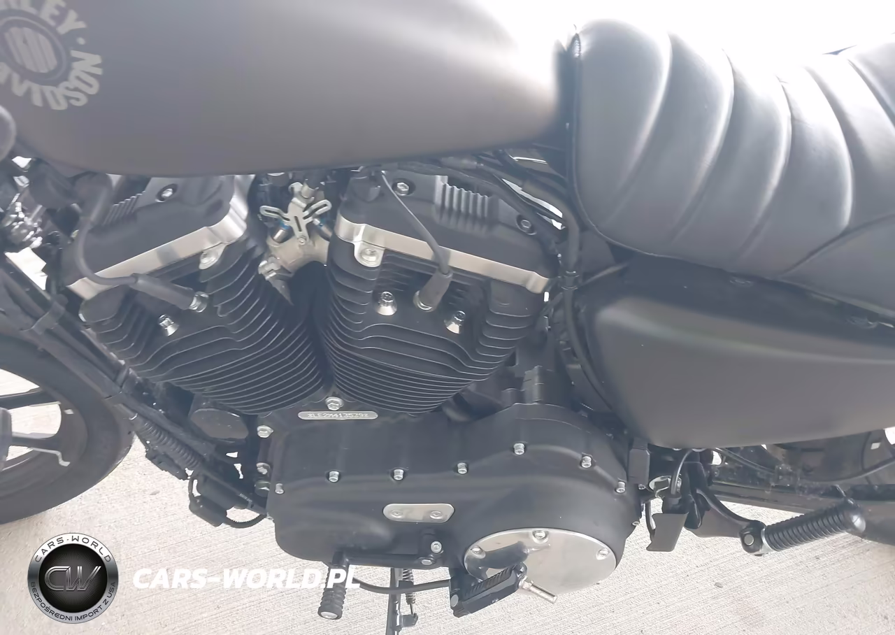 2021 Harley-Davidson Xl883 N VIN:1HD4LE210MB413539 - 9