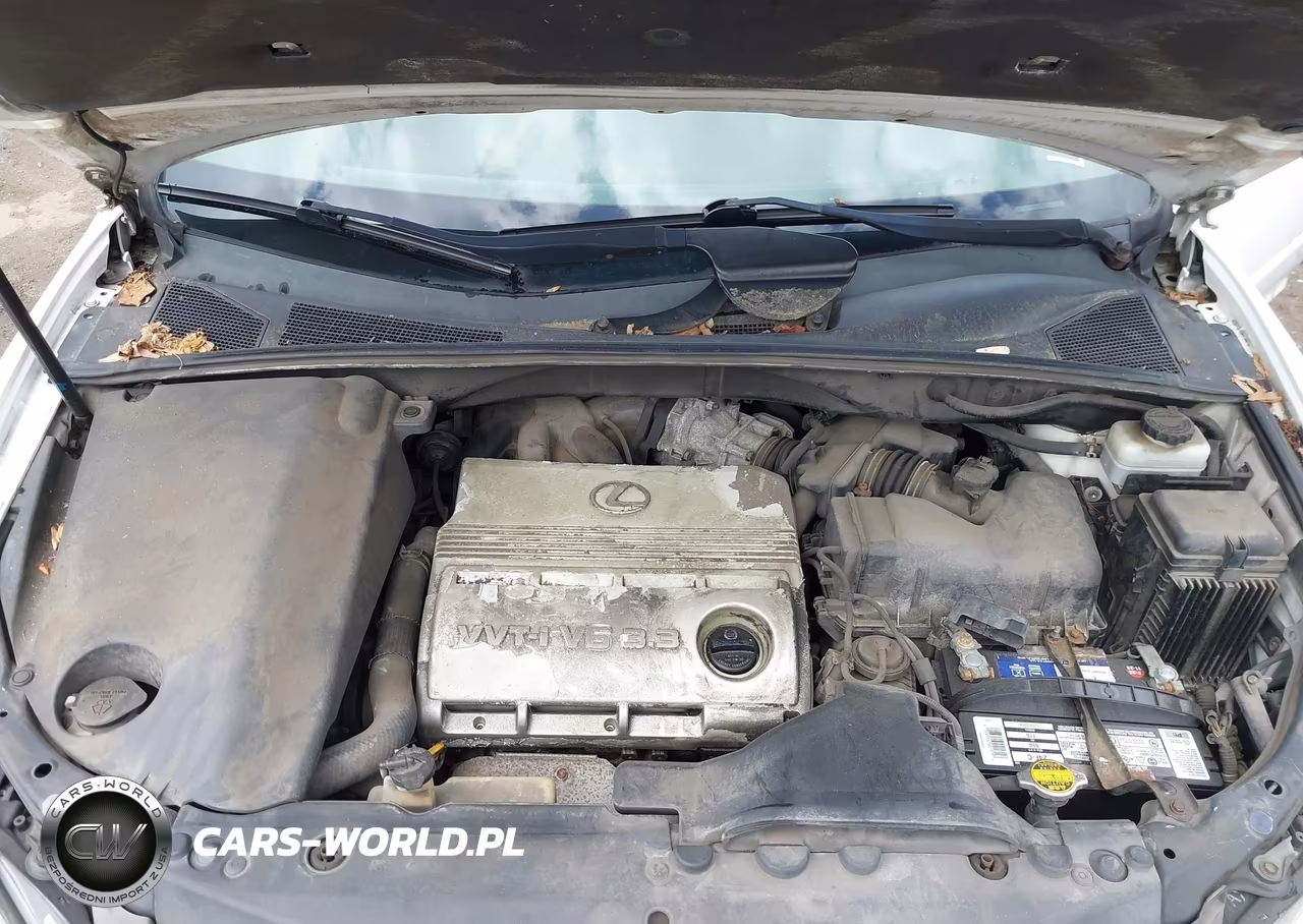 2005 Lexus Rx 330 VIN:2T2HA31U35C052945 - 10