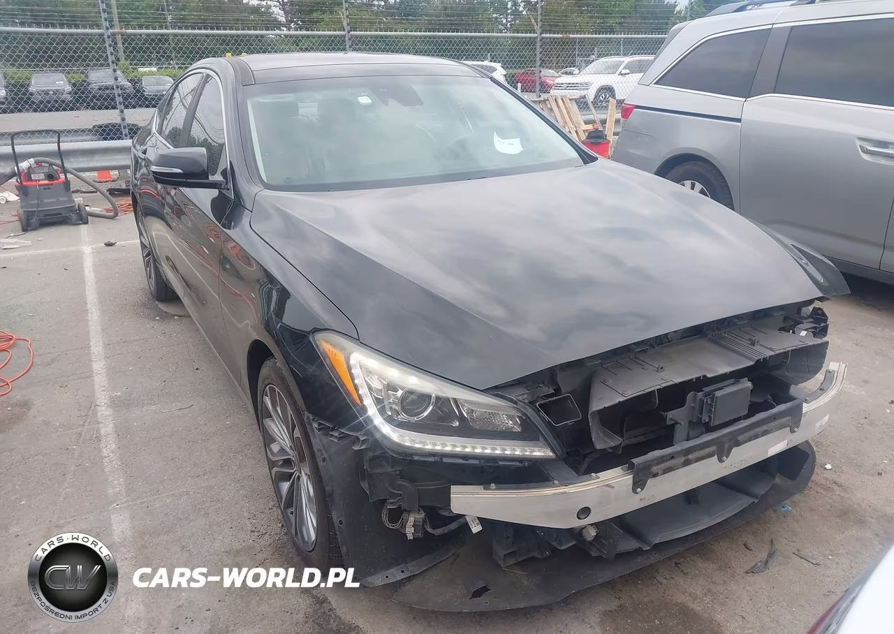 2016 Hyundai Genesis 3.8 VIN:KMHGN4JE9GU107077 - 12