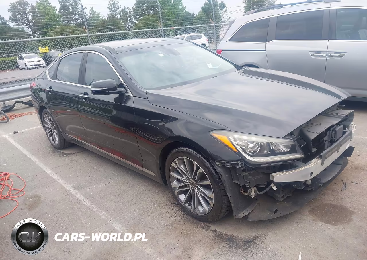 2016 Hyundai Genesis 3.8 VIN:KMHGN4JE9GU107077 - 13