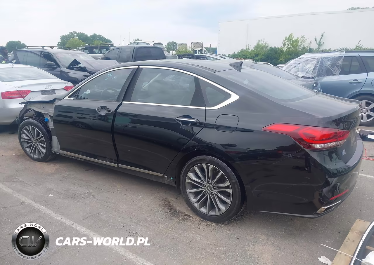 2016 Hyundai Genesis 3.8 VIN:KMHGN4JE9GU107077 - 14