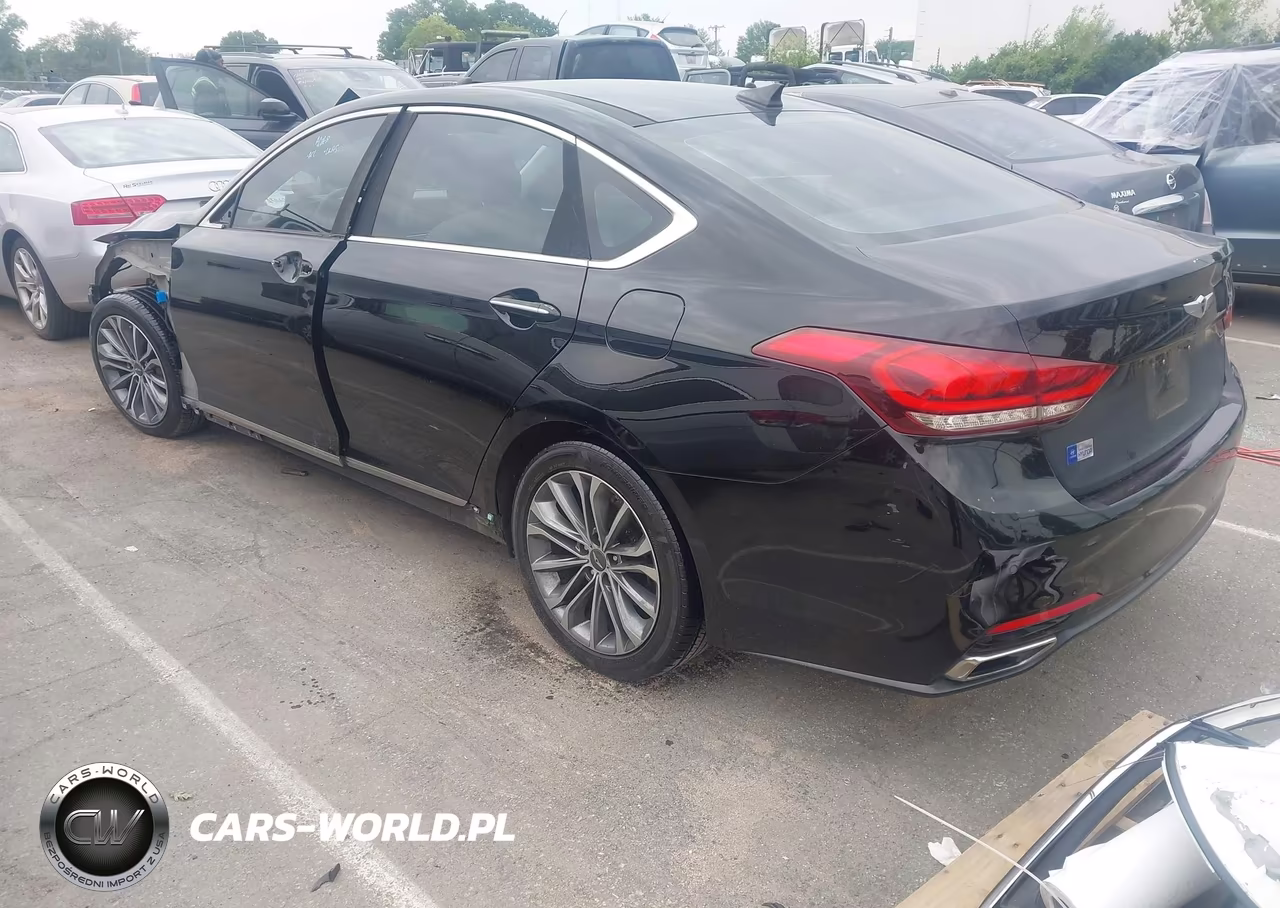 2016 Hyundai Genesis 3.8 VIN:KMHGN4JE9GU107077 - 3