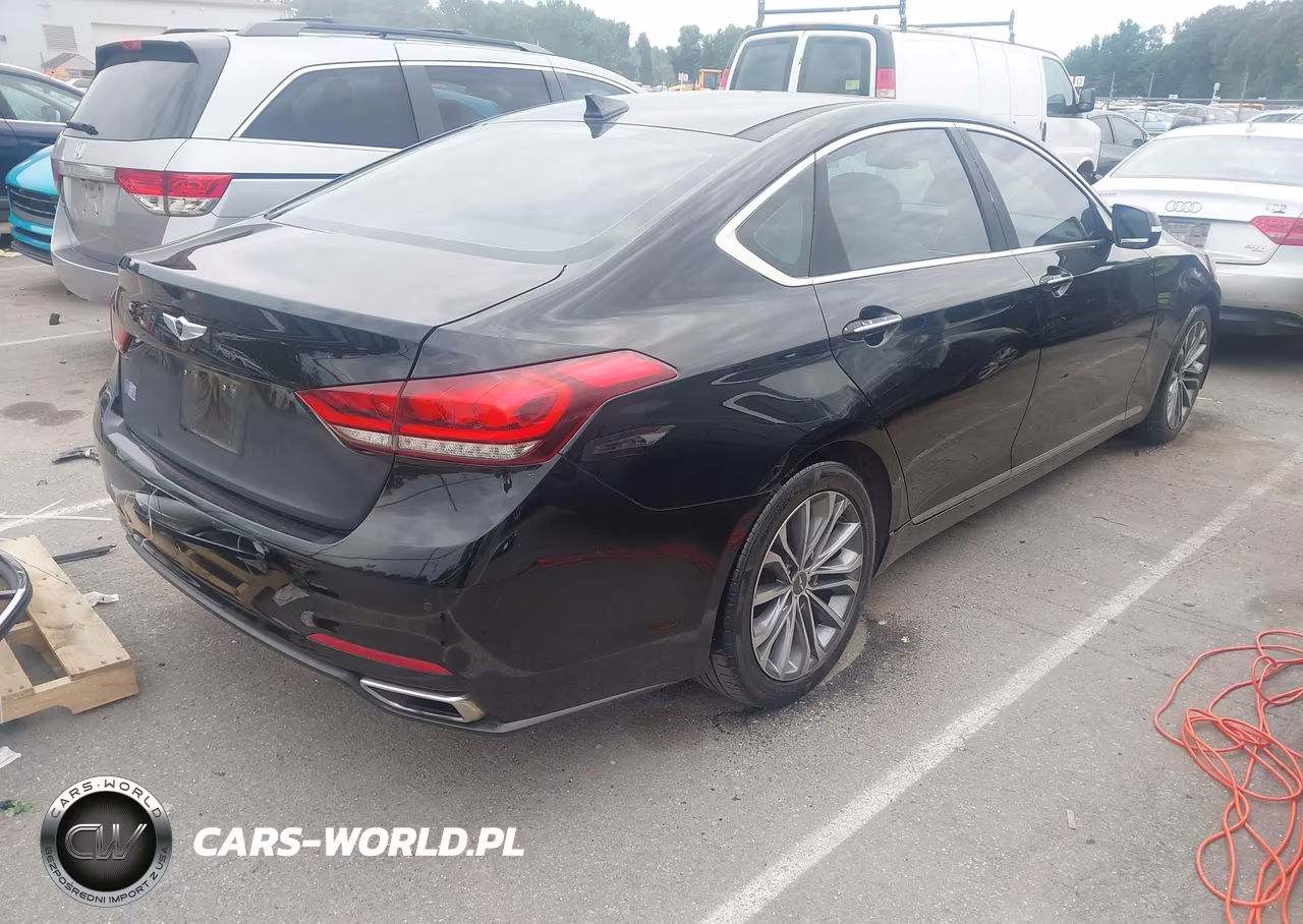 2016 Hyundai Genesis 3.8 VIN:KMHGN4JE9GU107077 - 4