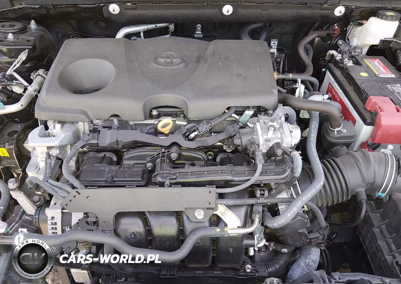 2025 Toyota Rav4 Xle VIN:2T3W1RFV7SC335318 - 10