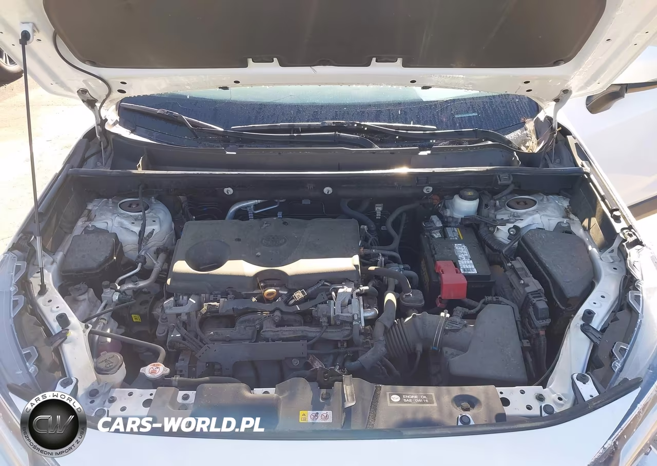 2020 Toyota Rav4 Xle VIN:2T3W1RFV5LC064082 - 10