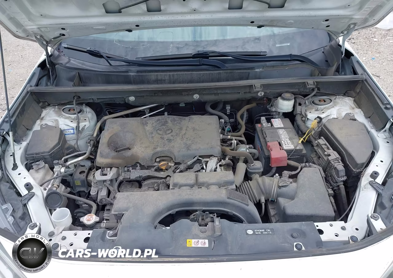2019 Toyota Rav4 Xle VIN:2T3W1RFV2KW006377 - 10