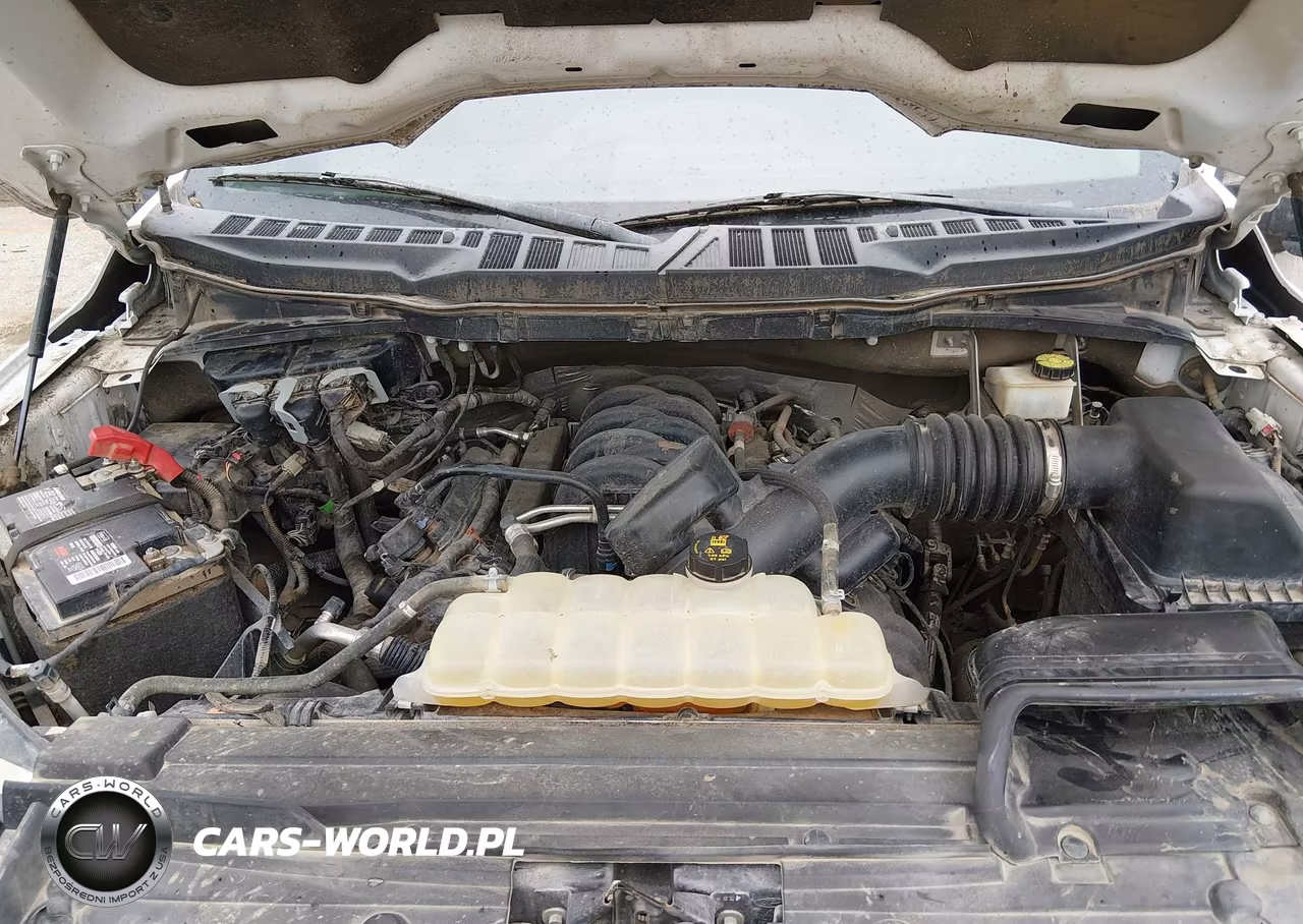 2021 Ford F-150 Xlt VIN:1FTFW1E54MKE69833 - 10