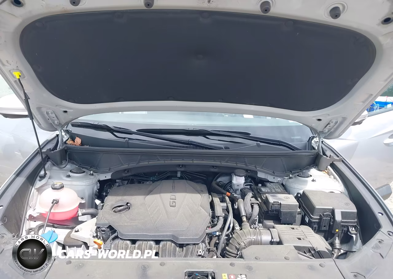 2024 Hyundai Tucson Limited VIN:5NMJECDE3RH312601 - 10