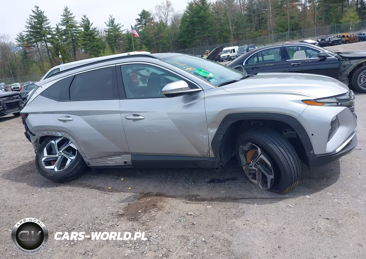 2024 Hyundai Tucson Limited VIN:5NMJECDE3RH312601 - 14