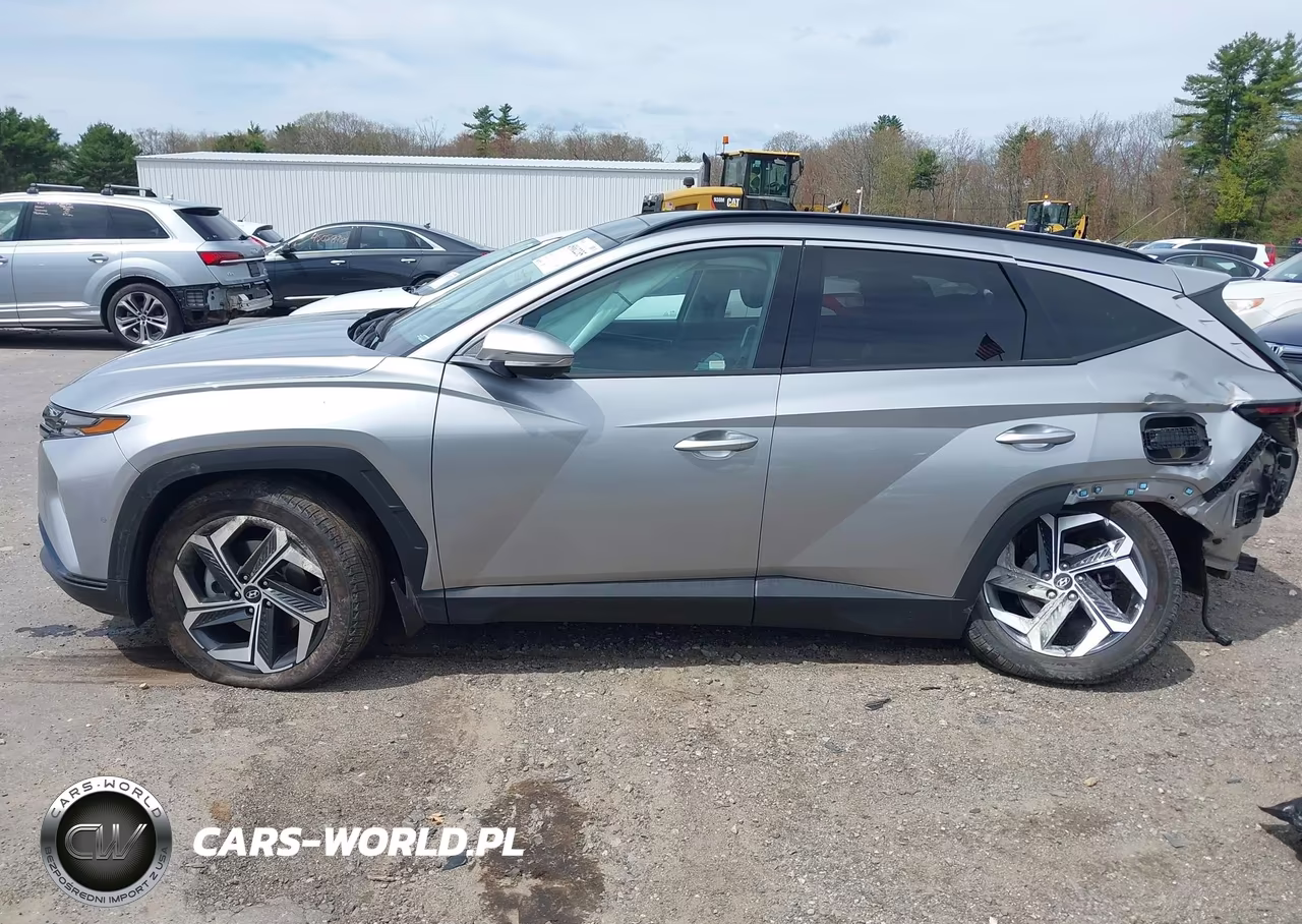 2024 Hyundai Tucson Limited VIN:5NMJECDE3RH312601 - 15