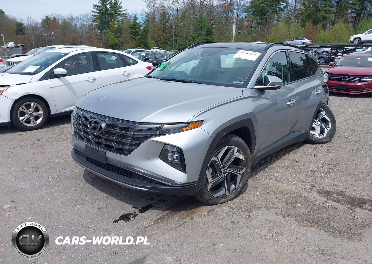 2024 Hyundai Tucson Limited VIN:5NMJECDE3RH312601 - 2