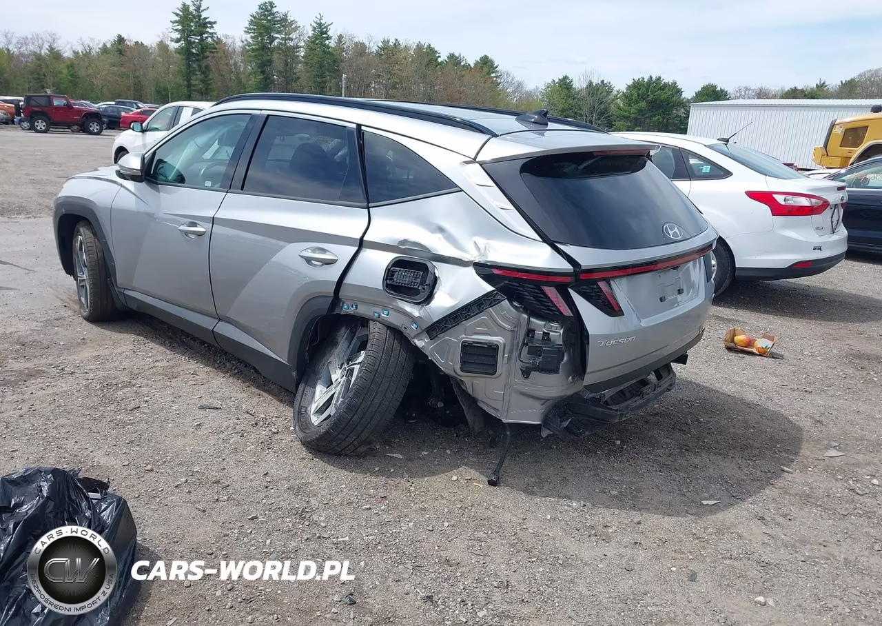 2024 Hyundai Tucson Limited VIN:5NMJECDE3RH312601 - 3