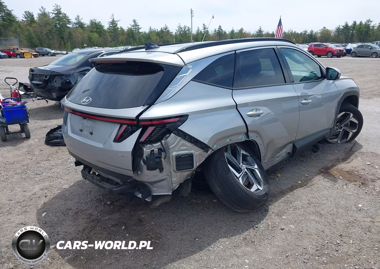 2024 Hyundai Tucson Limited VIN:5NMJECDE3RH312601 - 4