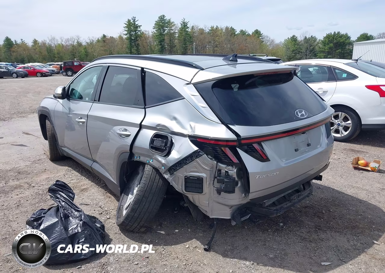 2024 Hyundai Tucson Limited VIN:5NMJECDE3RH312601 - 6