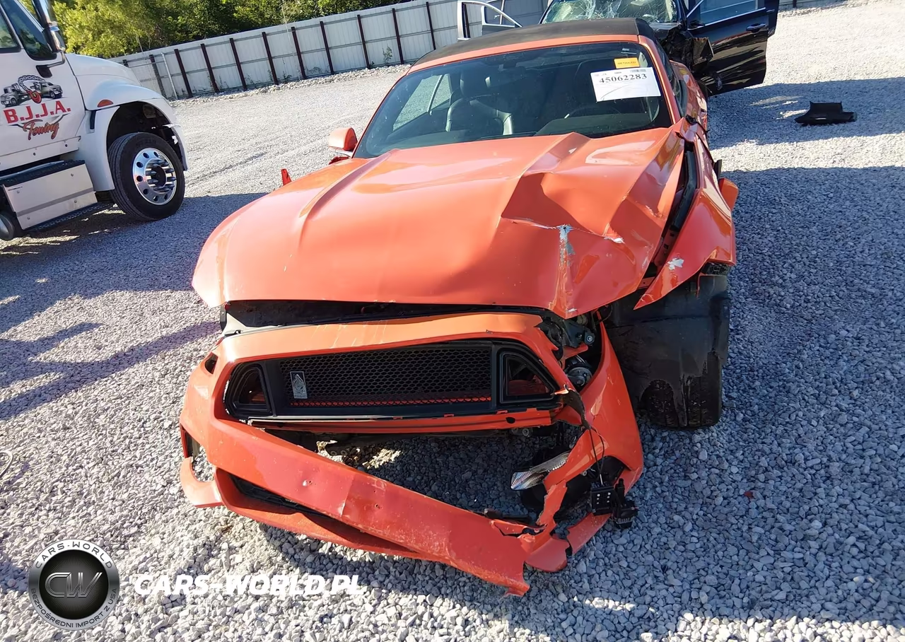 2016 Ford Mustang Ecoboost Premium VIN:1FATP8UH5G5299950 - 12