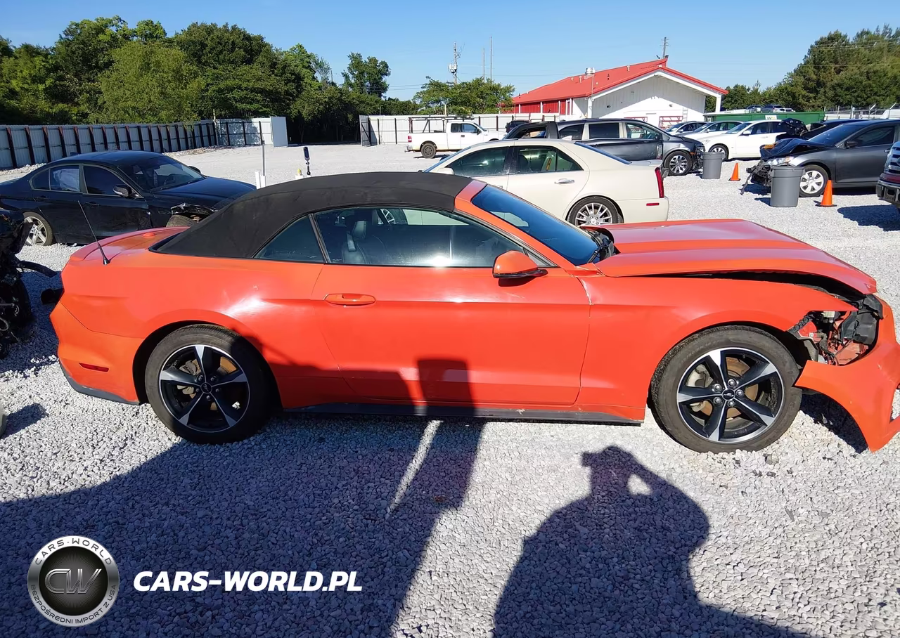 2016 Ford Mustang Ecoboost Premium VIN:1FATP8UH5G5299950 - 13