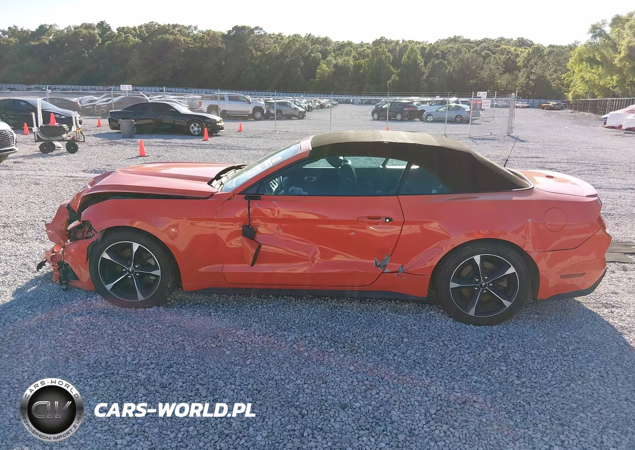 2016 Ford Mustang Ecoboost Premium VIN:1FATP8UH5G5299950 - 14