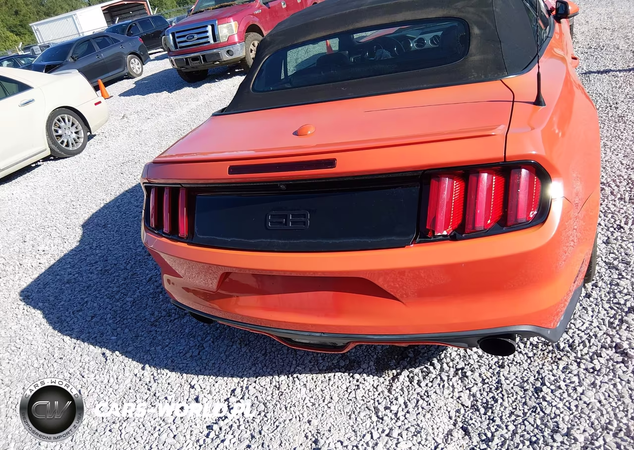 2016 Ford Mustang Ecoboost Premium VIN:1FATP8UH5G5299950 - 16