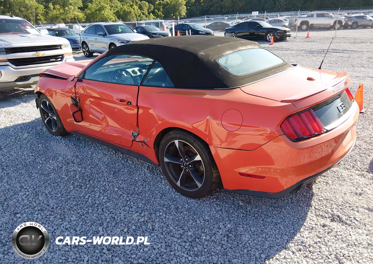 2016 Ford Mustang Ecoboost Premium VIN:1FATP8UH5G5299950 - 3