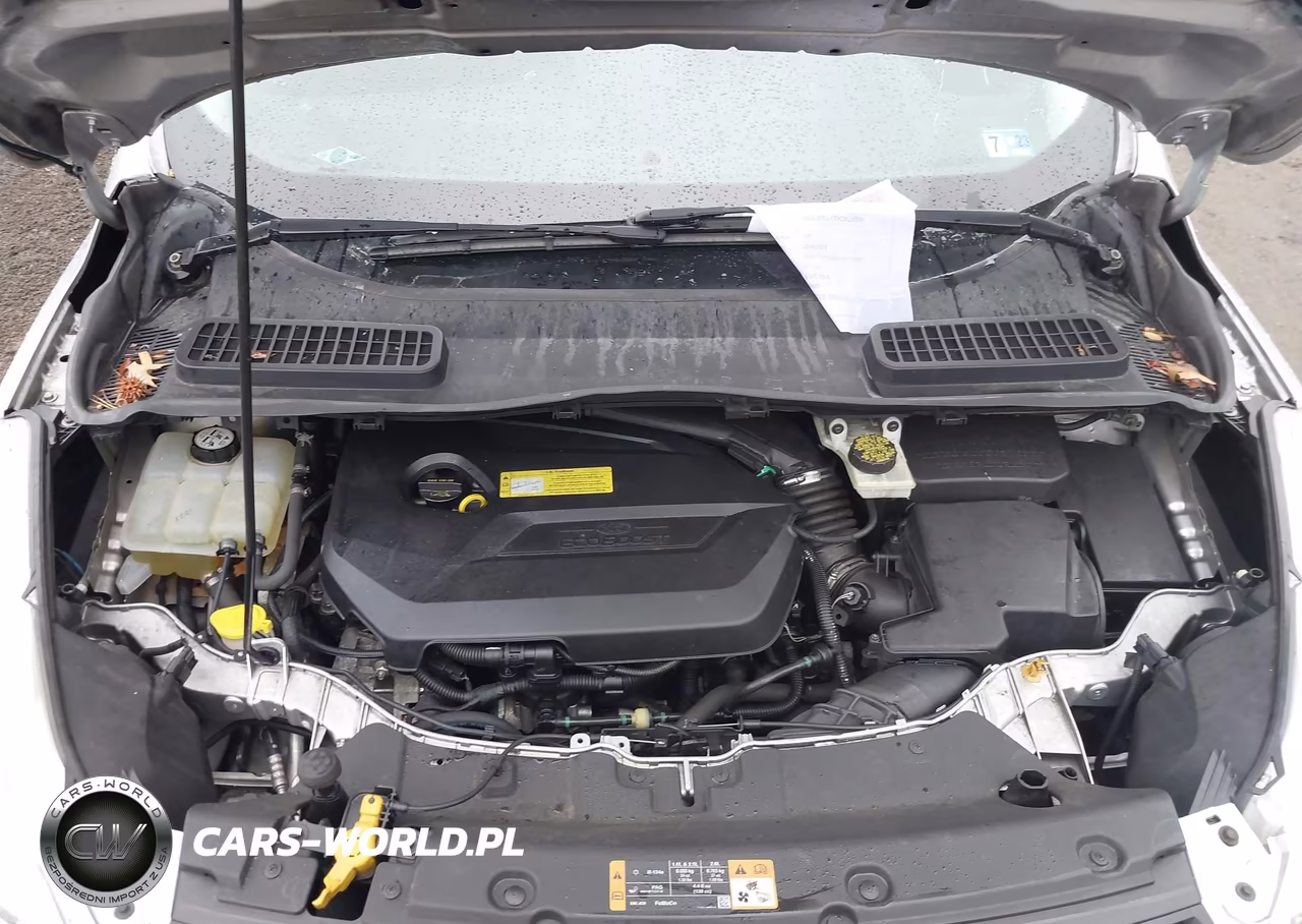 2014 Ford Escape Se VIN:1FMCU0GX6EUA74586 - 10